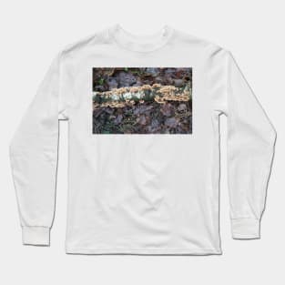 Mushrooms on a Birch Long Sleeve T-Shirt